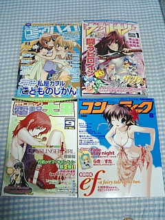 大して読みもしない、ただかさ張るだけのものたち