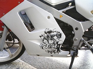 これカッティングシートは手切り……なのかしら? 気になるなぁ