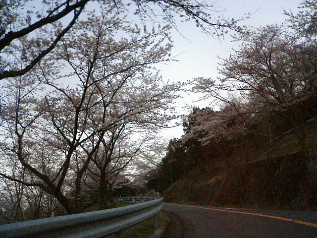 暗すぎ