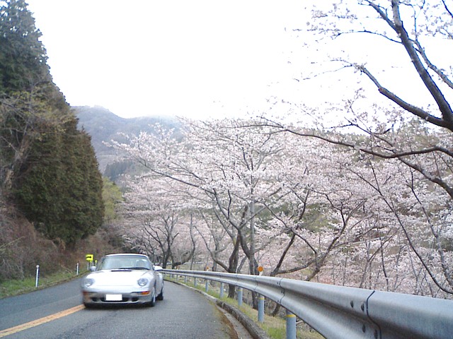 ぽるしぇー